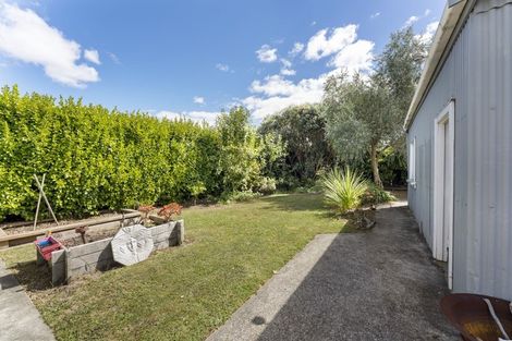 Photo of property in 38 Guy Avenue, Takaro, Palmerston North, 4410