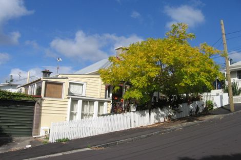 Photo of property in 11 Potatau Street, Grey Lynn, Auckland, 1021