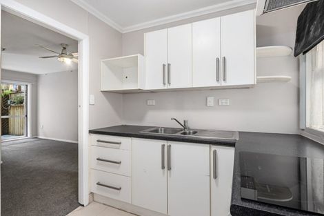 Photo of property in Avon Apartments, 3/313 The Terrace, Te Aro, Wellington, 6011