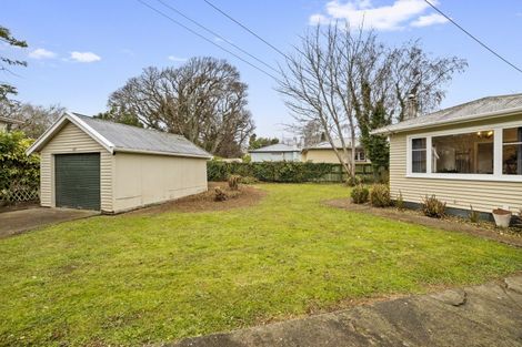 Photo of property in 19 Hobson Street, Levin, 5510