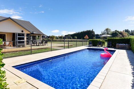 Photo of property in 87e Kay Road, Flagstaff, Hamilton, 3281