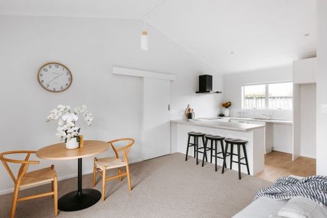 Photo of property in 35b Rimu Street, Gate Pa, Tauranga, 3112