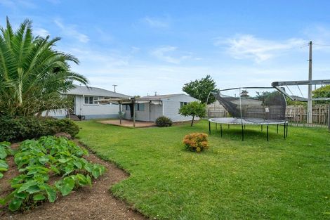 Photo of property in 23 Mcdivitt Street, Manurewa, Auckland, 2102
