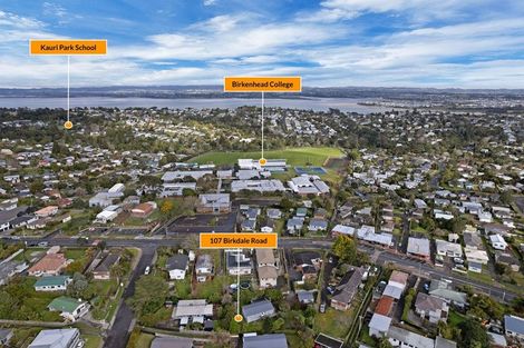 Photo of property in 107 Birkdale Road, Birkdale, Auckland, 0626