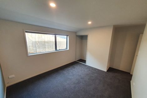 Photo of property in 45f Prospect Terrace, Pukekohe, 2120