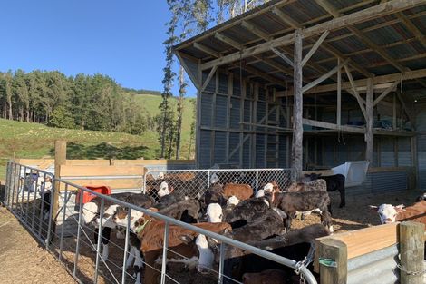 Photo of property in 24 Greens Road, Linton, Palmerston North, 4472