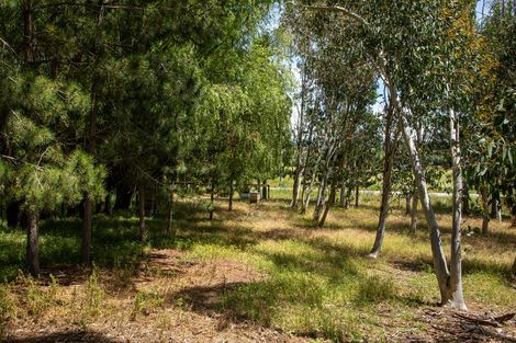 Photo of property in 35 Clare Road, Galloway, Alexandra, 9393