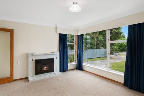 Photo of property in 33 Duke Street, Levin, 5510