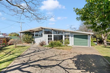 Photo of property in 24 Freyberg Street, Solway, Masterton, 5810