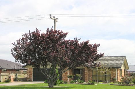 Photo of property in 48 Tower Road, Matamata, 3400