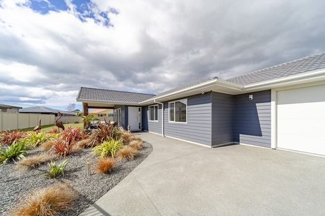 Photo of property in 18 Belgrove Place, Waipukurau, 4200