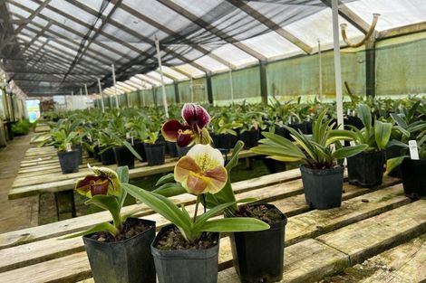 Photo of property in 104 Lindemann Road, Tahawai, Katikati, 3170