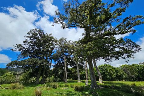 Photo of property in 1296 Wekaweka Road, Waimamaku, Kaikohe, 0473