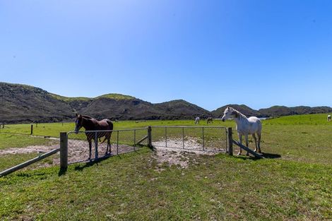 Photo of property in 102 Wharariki Road, Puponga, Collingwood, 7073