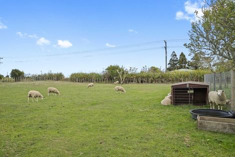 Photo of property in 1389 Highway 22, Pukekawa, Tuakau, 2696