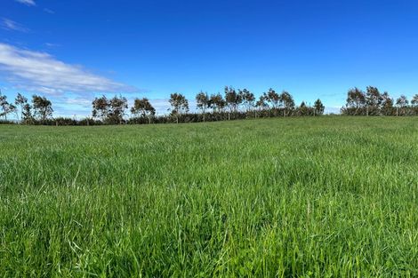 Photo of property in 30 Frazer Road, Tuturau, Mataura, 9774