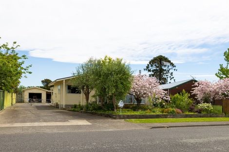 Photo of property in 14 Sutton Avenue, Clive, 4102