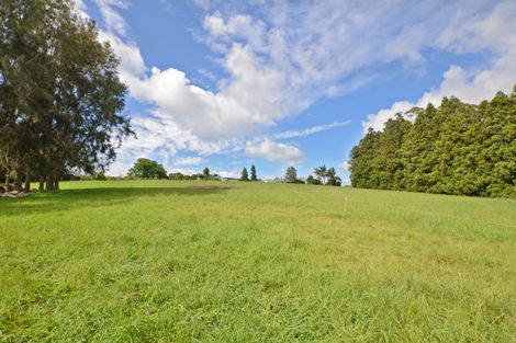 Photo of property in 217 Apotu Road, Kauri, 0185