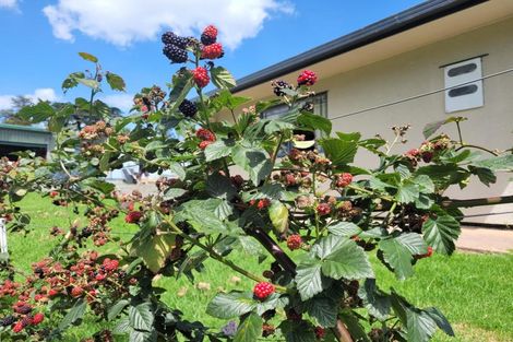 Photo of property in 647 Pipiwai Road, Matarau, Whangarei, 0176