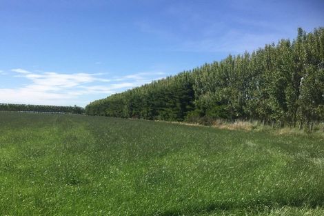 Photo of property in 80 Mount Hutt Station Road, Methven, Rakaia, 7782