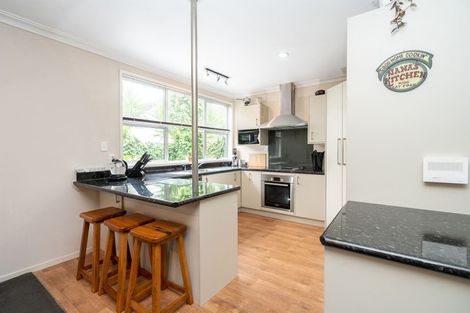 Photo of property in 5 Thomson Avenue, Dinsdale, Hamilton, 3204