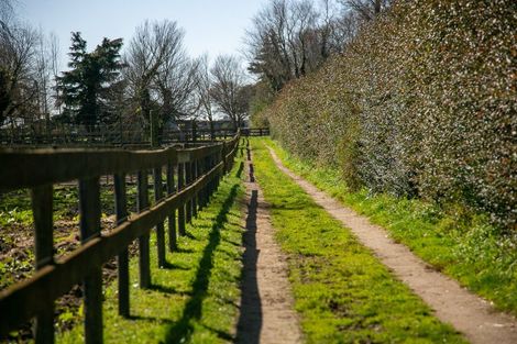 Photo of property in 49 Racecourse Road, Cambridge, 3493