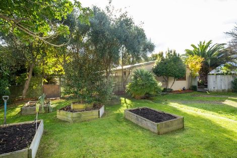 Photo of property in 19 Kuku Street, Te Awanga, 4102