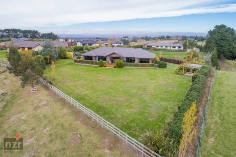 Photo of property in 24 Paradise Avenue, Feilding, 4775