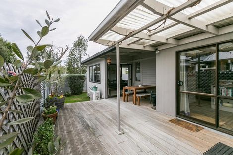 Photo of property in 703 Williams Street, Mahora, Hastings, 4120