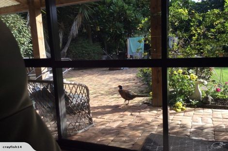 Photo of property in 543 Three Mile Bush Road, Te Kamo, Kamo, 0185