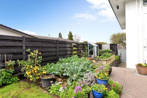 Photo of property in 37 Glen Lynne Avenue, Queenwood, Hamilton, 3210