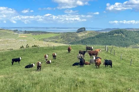 Photo of property in 206 Martin Access Road, Makarau, Warkworth, 0981