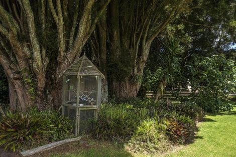 Photo of property in 13 Palm Grove, Te Kamo, Kamo, 0185