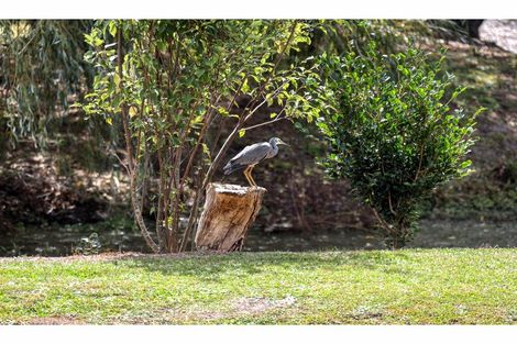 Photo of property in 752a Settlement Road, Hakaru, Wellsford, 0975