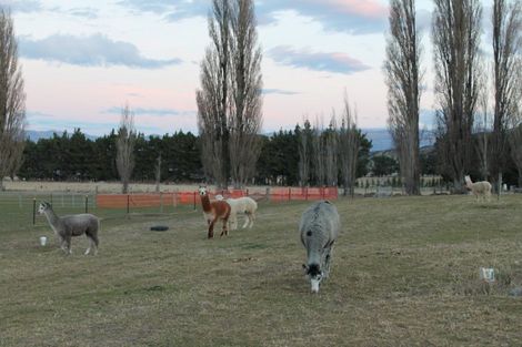 Photo of property in 40 Fay Lane, Queensberry, Cromwell, 9383