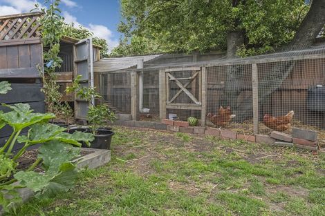 Photo of property in 8 Muir Avenue, Halswell, Christchurch, 8025