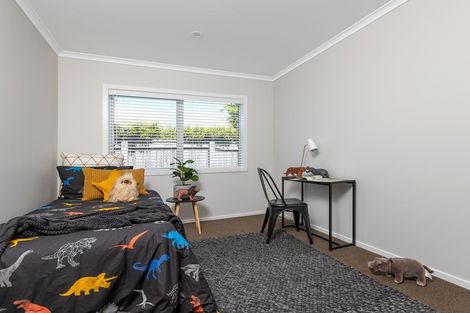 Photo of property in 36 Tuatahi Avenue, Solway, Masterton, 5810