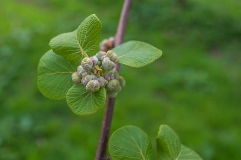 Photo of property in 231 Walford Road, Aongatete, Katikati, 3181