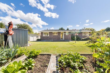 Photo of property in 6-8 East Road, Shannon, 4821