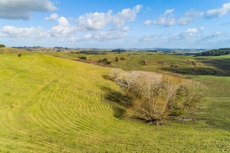 Photo of property in 217 Underwood Road, Wellsford, 0973