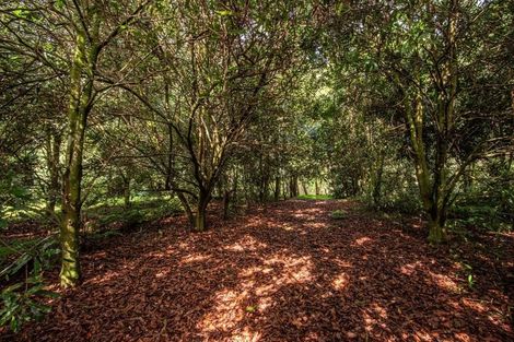 Photo of property in 8 Draffin Road, Poroti, Whangarei, 0179