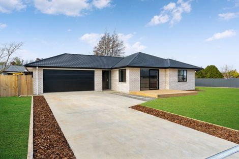 Photo of property in 5 Market Street, Lansdowne, Masterton, 5810