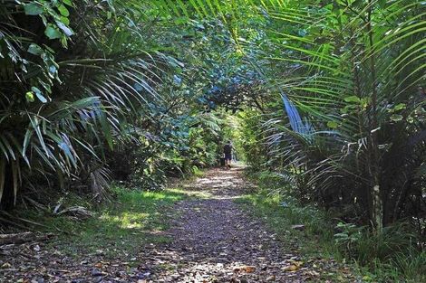 Photo of property in 11 Te Aroha Street, Hamilton East, Hamilton, 3216