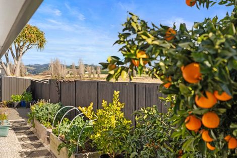 Photo of property in 134 Palm Beach Boulevard, Papamoa Beach, Papamoa, 3118