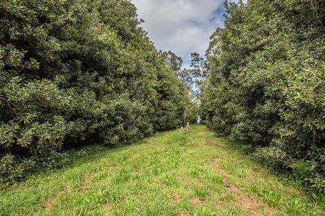 Photo of property in 8 Draffin Road, Poroti, Whangarei, 0179
