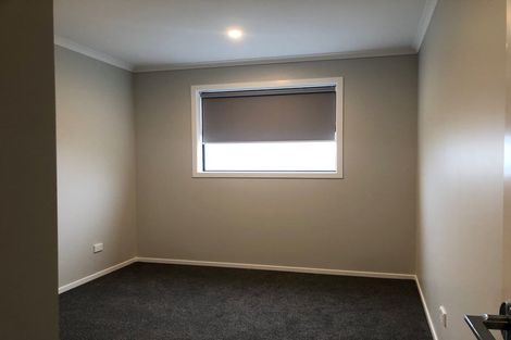 Photo of property in 8 Mcpherson Place, Fairfield, Hamilton, 3214