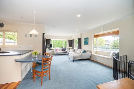 Photo of property in 54 Windsor Street, Terrace End, Palmerston North, 4410