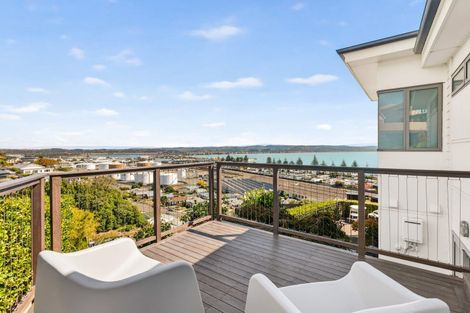 Photo of property in 40 Roslyn Road, Bluff Hill, Napier, 4110