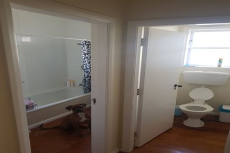 Photo of property in 58 Oxford Terrace, Epuni, Lower Hutt, 5011