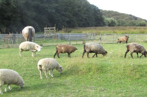 Photo of property in 61 Coutts Gully Road, Taieri Beach, Brighton, 9091